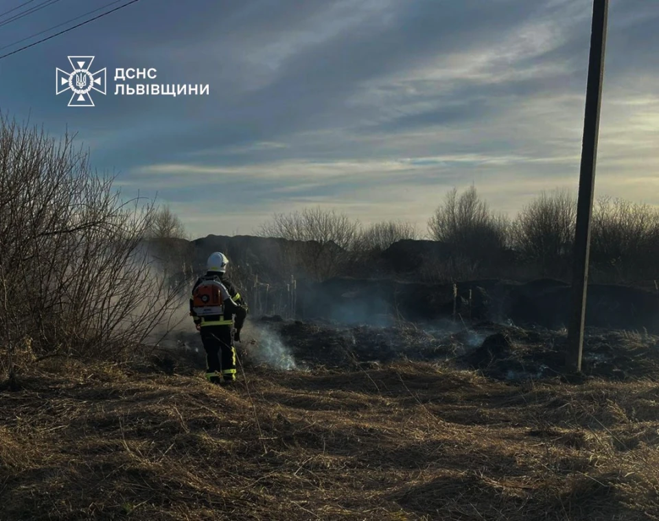 На Львівщині вогонь знищив понад 2700 кв. м сухостою