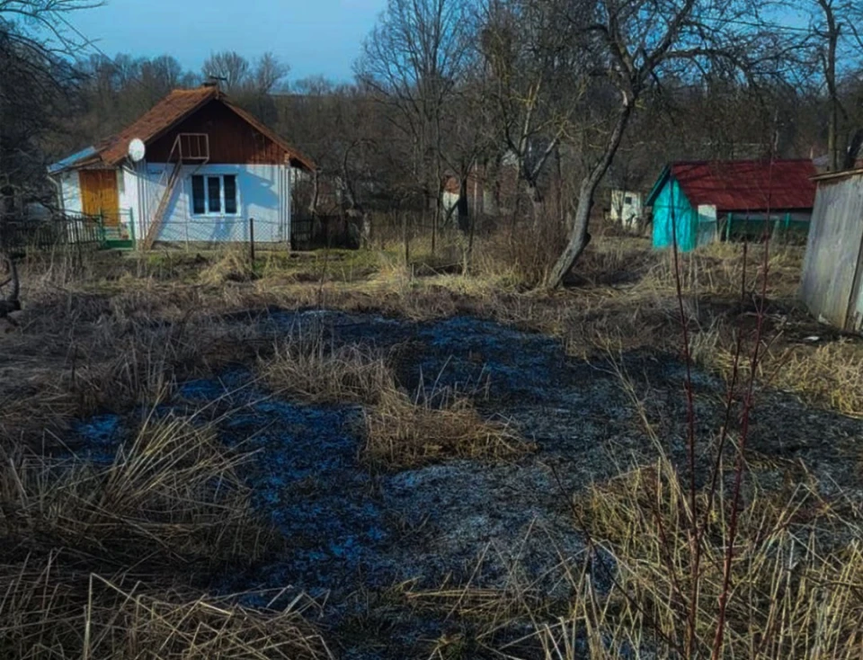 На Львівщині вогонь знищив понад 2700 кв. м сухостою
