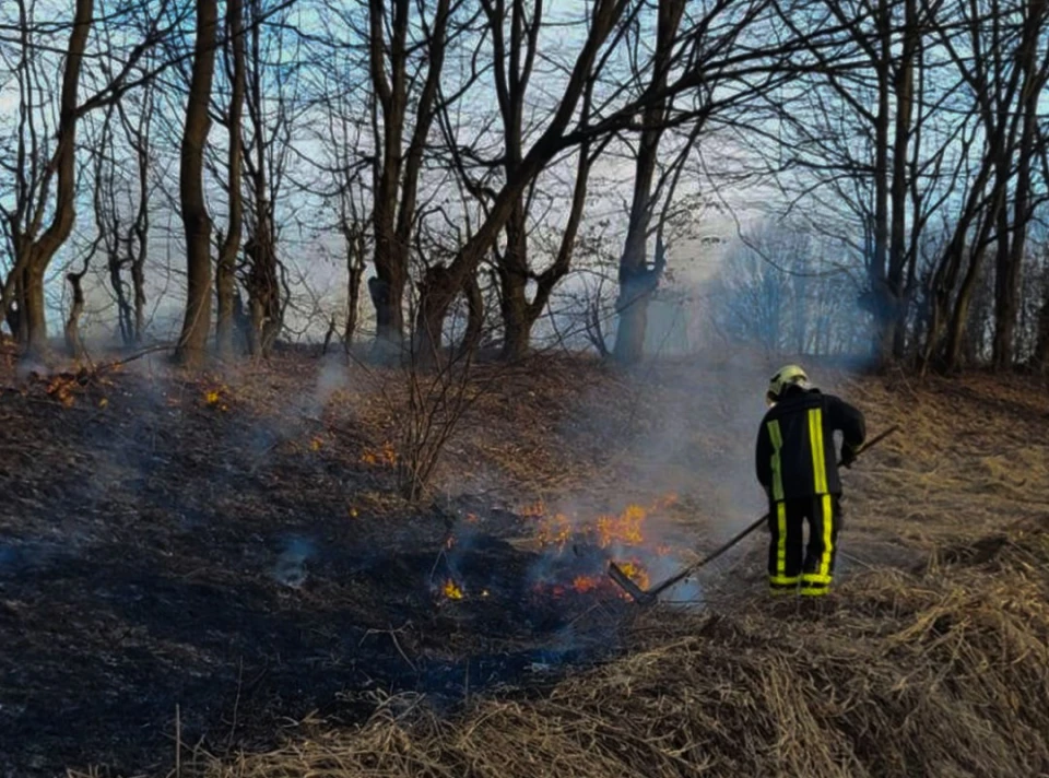 На Львівщині вогонь знищив понад 2700 кв. м сухостою