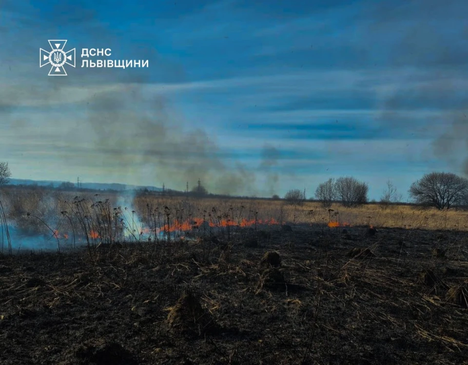 На Львівщині вогонь знищив понад 2700 кв. м сухостою