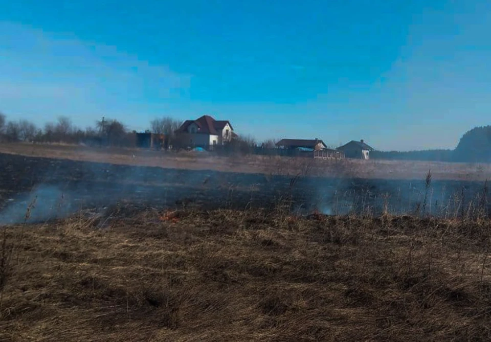На Львівщині вогонь знищив понад 2700 кв. м сухостою