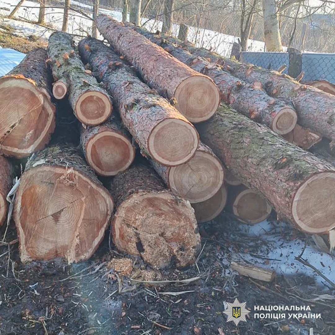 На Тернопільщині зупинили незаконну вирубку у заповіднику "Медобори" на 5 млн грн