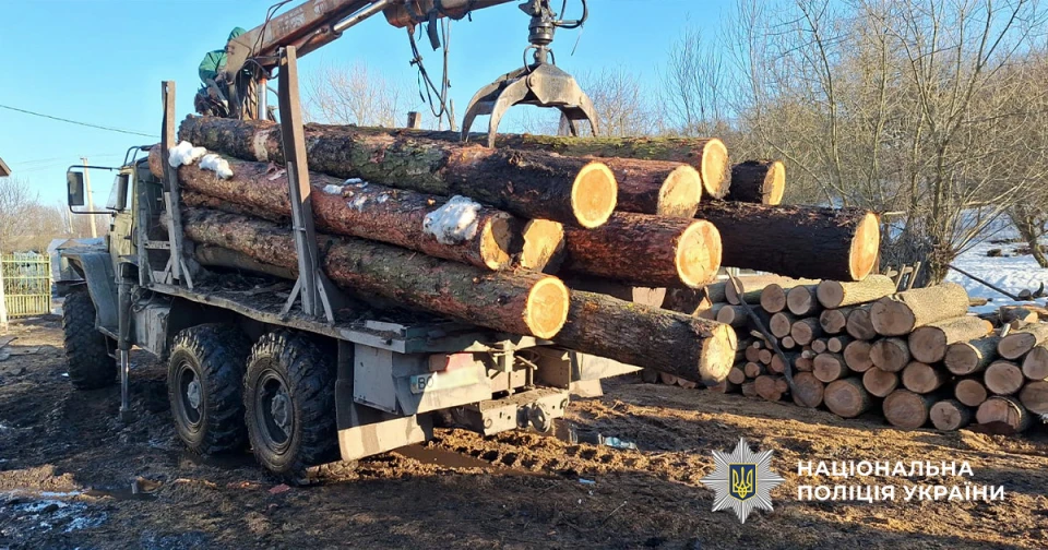 На Тернопільщині зупинили незаконну вирубку у заповіднику "Медобори" на 5 млн грн