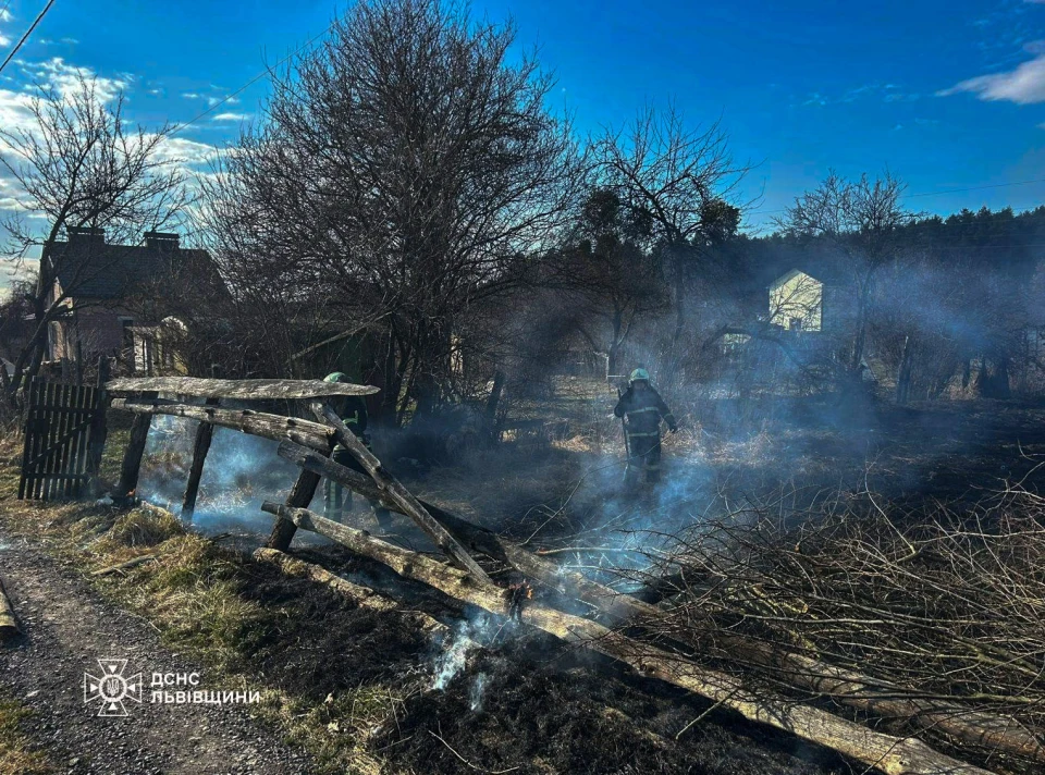 На Львівщині за добу зафіксували 80 пожеж сухостою, мало не згоріли житлові будинки