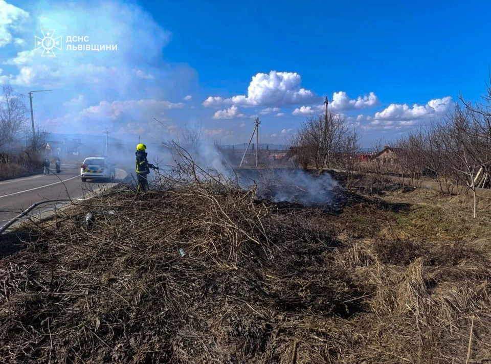 На Львівщині за добу зафіксували 80 пожеж сухостою, мало не згоріли житлові будинки