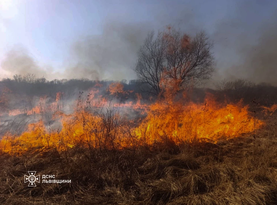 На Львівщині за добу зафіксували 80 пожеж сухостою, мало не згоріли житлові будинки