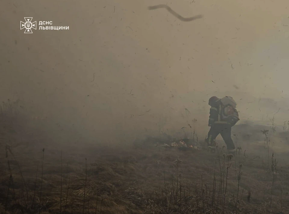 На Львівщині за добу зафіксували 80 пожеж сухостою, мало не згоріли житлові будинки