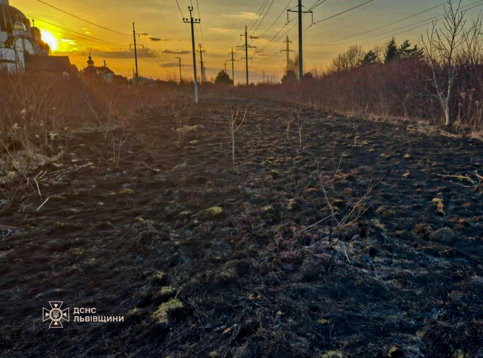 На Львівщині за добу зафіксували 80 пожеж сухостою, мало не згоріли житлові будинки