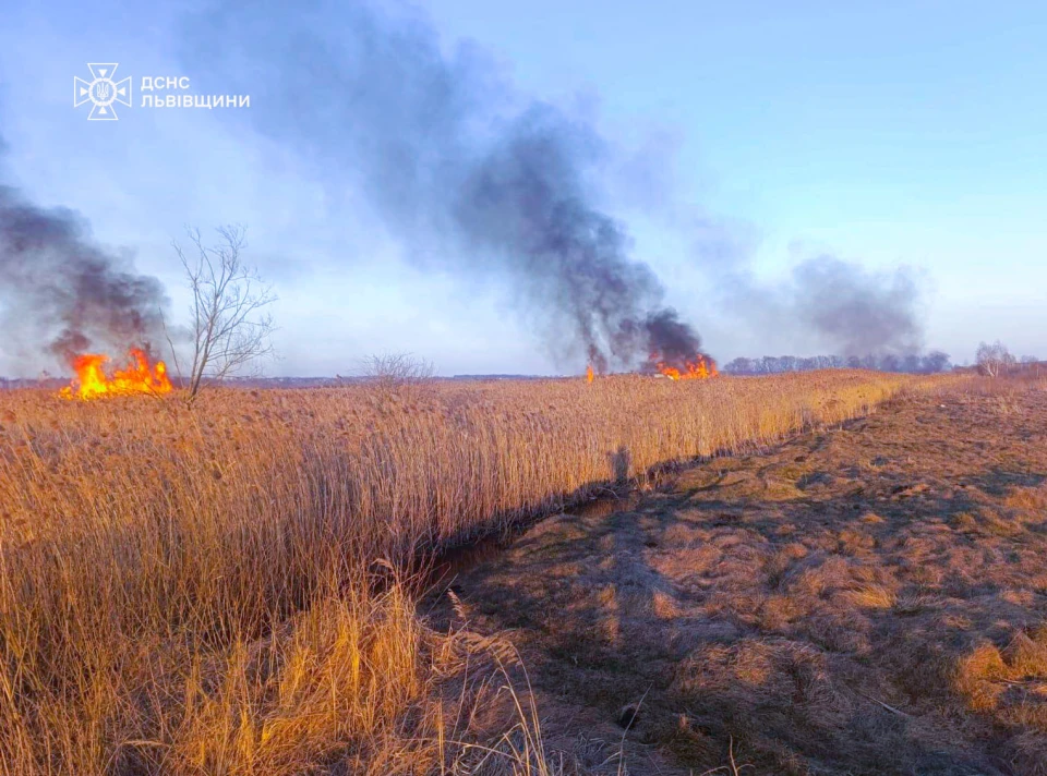 На Львівщині за добу зафіксували 80 пожеж сухостою, мало не згоріли житлові будинки