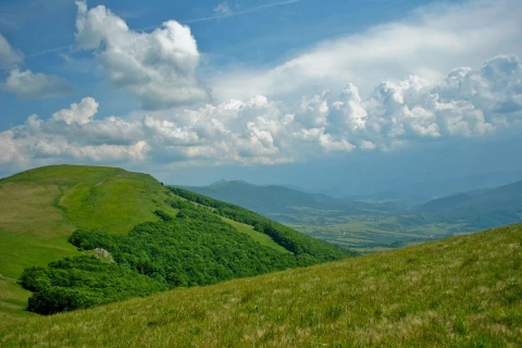 Карпати