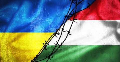 Україна Угорщина