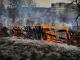 пожежі