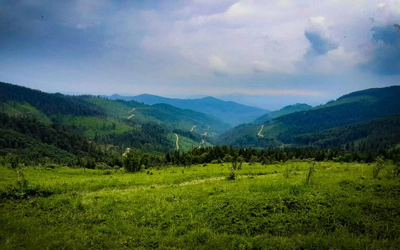 Карпати