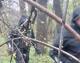 На Дрогобиччині досліджують місце можливого поховання воїнів УПА: попереду архівні та пошуково-земляні роботи