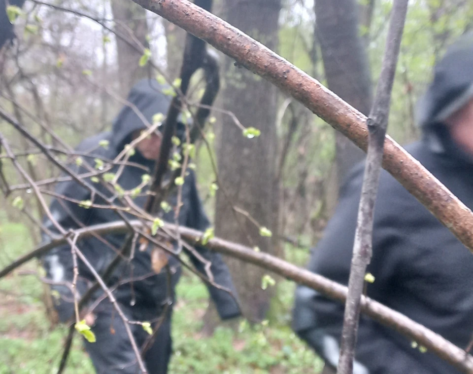 На Дрогобиччині досліджують місце можливого поховання воїнів УПА: попереду архівні та пошуково-земляні роботи
