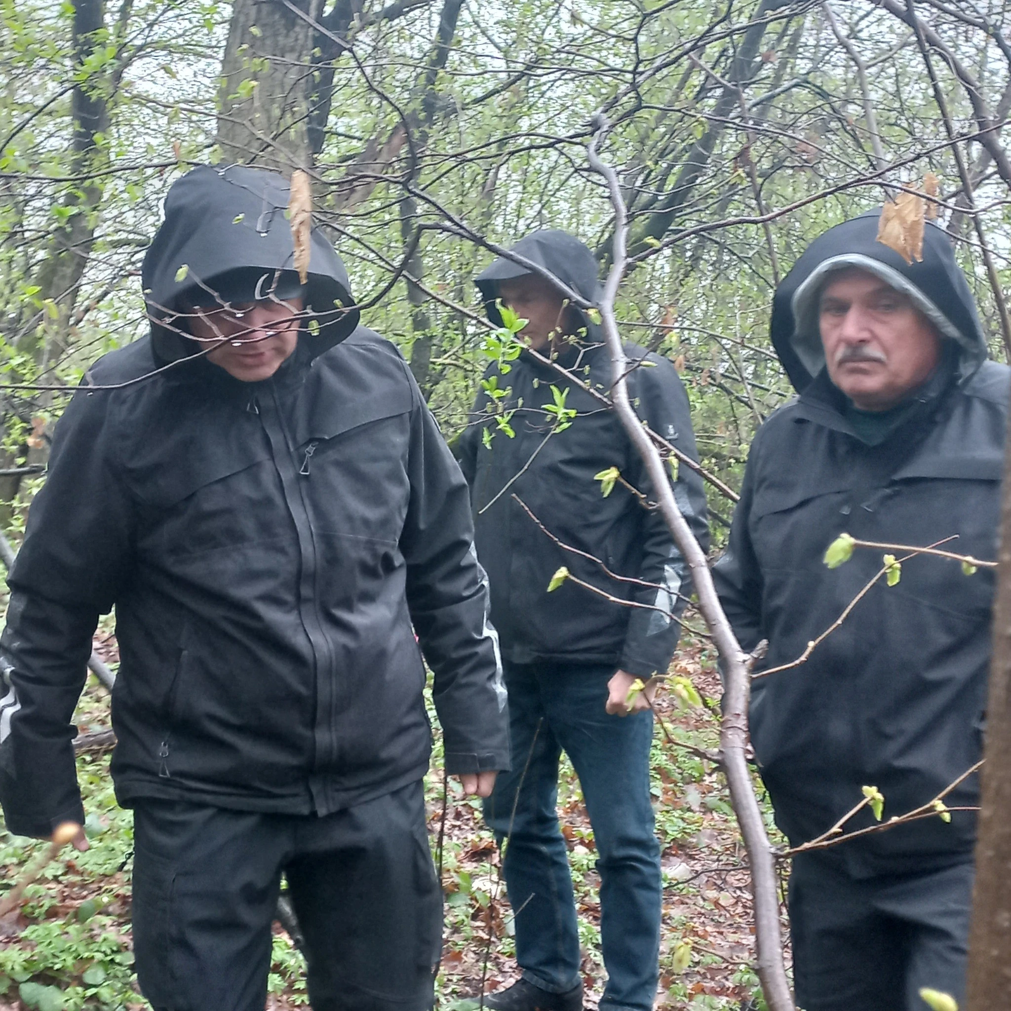 На Дрогобиччині досліджують місце можливого поховання воїнів УПА: попереду архівні та пошуково-земляні роботи