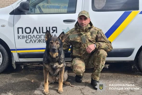 службова вівчарка Кайна з кінологом Костянтином Чемерисом
