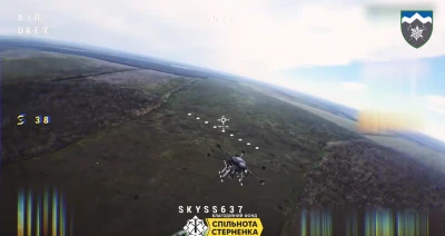 Збиття ворожого дрона особливим БПЛА від Спільноти Стерненка, оператори - 10-та ОГШБр