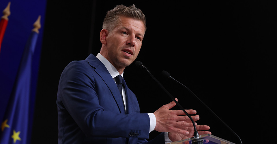 Мадяр домігся вилучення пункту про вступ України до ЄС із декларації