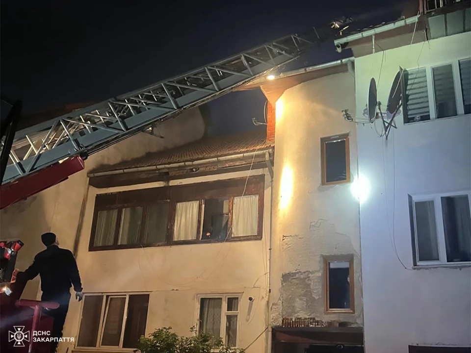 В Ужгороді сталася масштабна пожежа на приватній території, загинули тварини