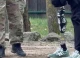 "Ветеранський корпус" Третього армійського корпусу долучився до толоки на День довкілля-2026