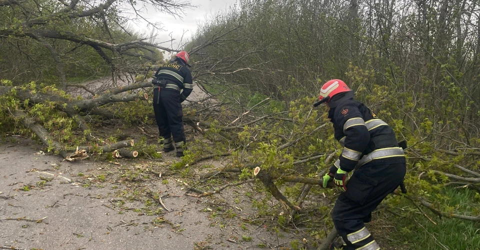 Негода в Україні, наслідки шквального вітру