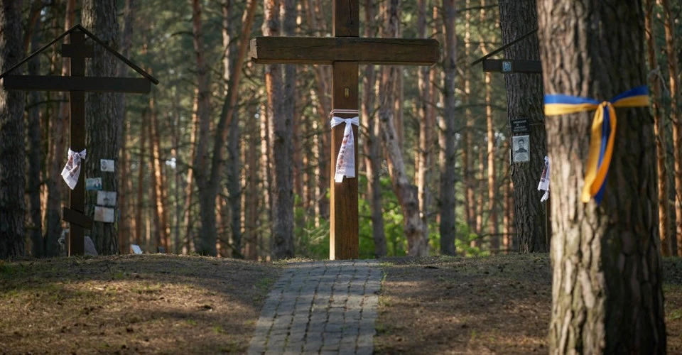 Биківнянський ліс