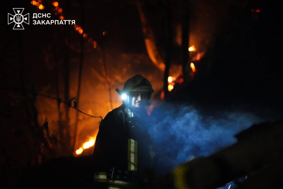 ліквідація лісової пожежі поблизу Воловця