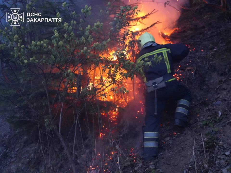 ліквідація лісової пожежі поблизу Воловця