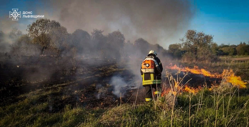 На Львівщині згоріли 20 вуликів: надзвичайники врятували ще 40
