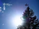 На Закарпатті ліквідували масштабну лісову пожежу біля Воловця, яка тривала понад дві доби