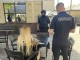 Затримання рієлторки з Тернополя, яка залучала ухилянтів