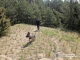 пошуки