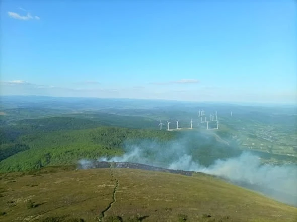 пожежа Пікуй