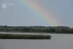 Добротвірське водосховище