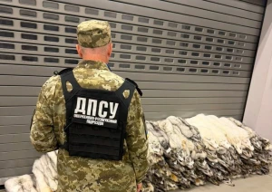 У рейсовому автобусі на кордоні з Польщею вилучили 120 незадекларованих шкурок песця