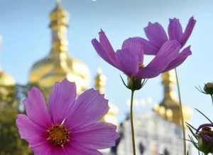 У християн східного обряду розпочався Петрів піст