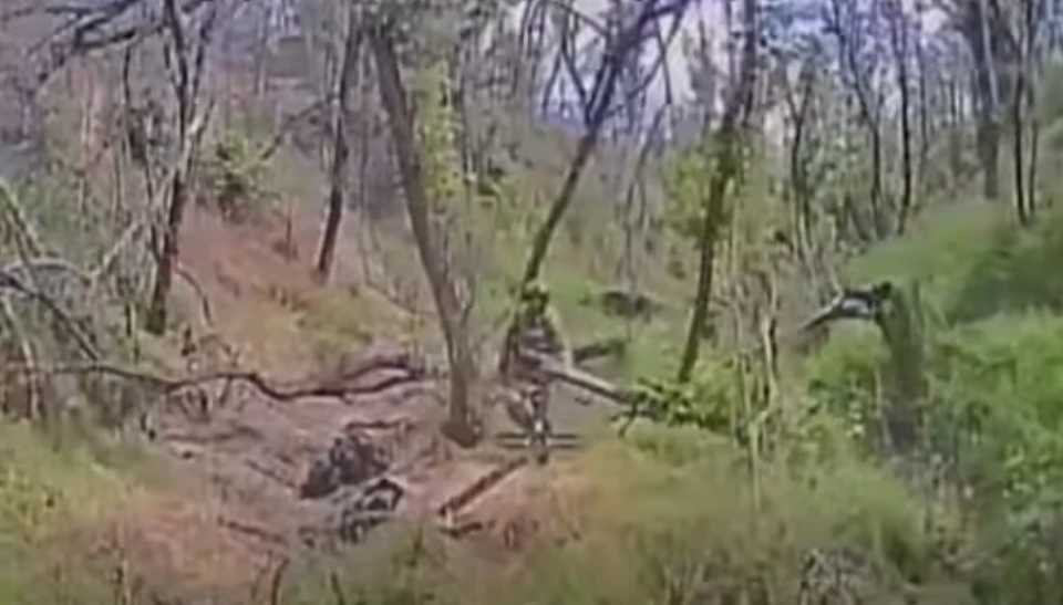 Бійці 128 бригади показали, як знищують окупантів у бліндажах і лісосмугах