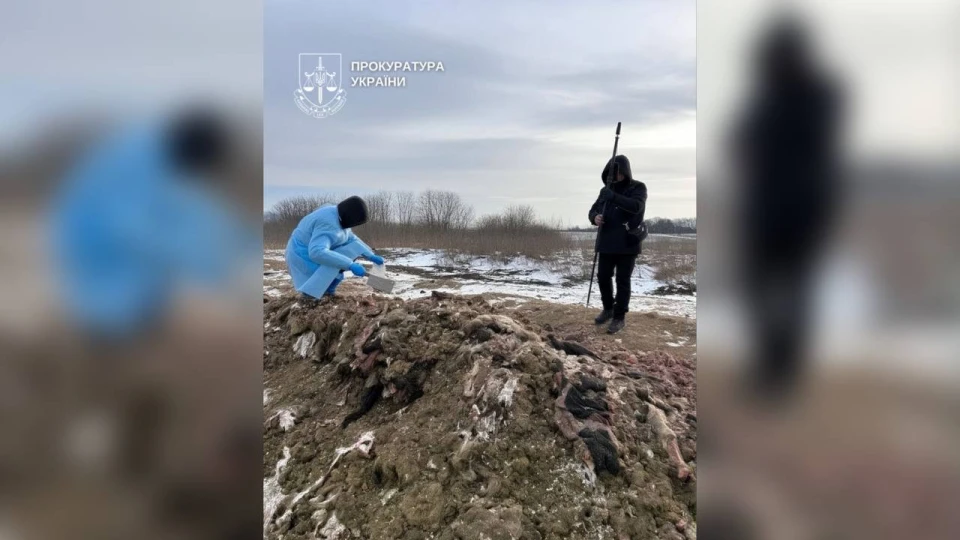 пів гектара землі перетворили на звалище біовідходів