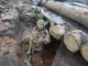 Андрій Гвоздецький