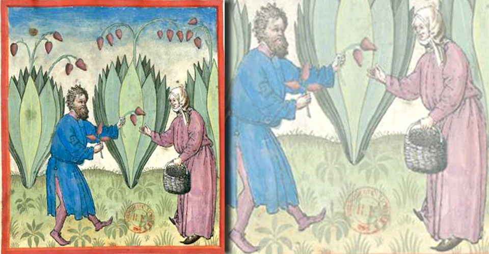 image 06
