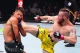 Данило Донченко та Теодор Берггрен (ліворуч), UFC, змішані єдиноборства