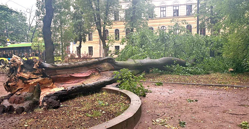 негода Львів