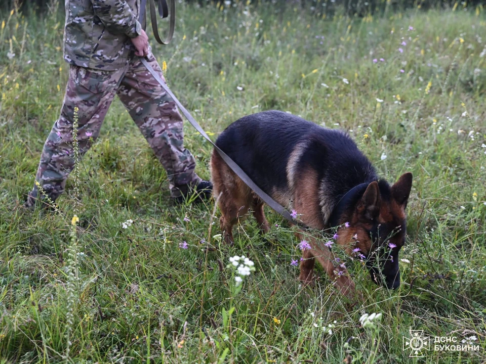 На Буковині другу добу розшукують 8-річного хлопчика, який пішов з дому вночі
