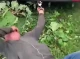 Прикували наручниками до авто на Хмельниччині