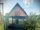У Львові п'яний чоловік ножем та вилами забив до смерті вівчарку