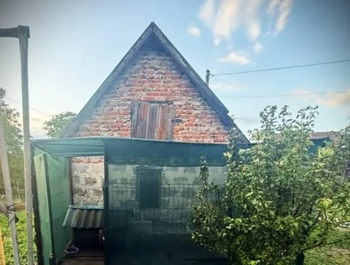 У Львові п'яний чоловік ножем та вилами забив до смерті вівчарку