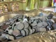 У храмі в Калуші виявили схованку з австро-угорськими монетами XIX століття