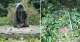 пошкоджений пам'ятник воїнам УПА в Польщі